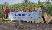 Tanpa Anggaran, Program Tanam Padi Hume di Sela Kebun Sawit di Bateng tetap Jalan