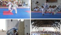Karate, Olahraga Primadona di Era Modern