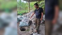 Polsek Airgegas Temukan Tempat Peleburan Timah Balok Ilegal di Kebun Sawit Desa Nyelanding