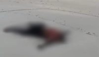 Geger, Sosok Mayat Lelaki Ditemukan Terdampar di Pantai Jerangkat
