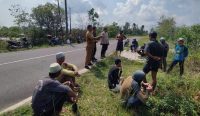 Tambang Timah User Sebabkan Jalan di Sekarbiru Nyaris Putus