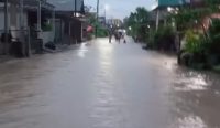 Diguyur Hujan Deras, Puluhan Rumah di Rawa Bangun Toboali Terendam Air