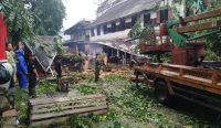Pohon Tumbang Juga Terjadi di Tela Coffe, 1 Mobil dan 7 Motor Rusak