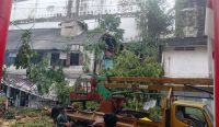Tim Gabungan Berhasil Evakuasi Pohon Tumbang di 8 Lokasi Pangkalpinang