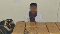 Polisi Ciduk Pengedar dan 14 Kilogram Ganja di Pangkalpinang