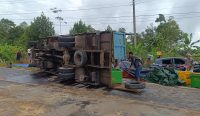 Truk Pengangkut Udang Vaname Terguling di Simpang Gong