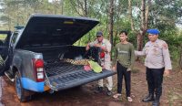 Polisi Serahkan Buaya ke PPS Alobi Babel