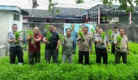Dukung Program Menimipas, Rutan Mentok Panen Perdana Sayur Kangkung