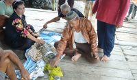 Buaya Muara yang Resahkan Warga Kurau Berhasil Ditangkap