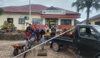 5 Pria di Sungaiselan Diamankan usai Curi 1,2 Ton Sawit Milik Perusahaan