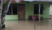 Puluhan Rumah di Belolaut Terendam Banjir Rob