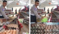 Dukung Program Ketahanan Pangan, Ditlantas Polda Babel Panen Telur Ayam dan bagi-bagi ke Masyarakat