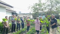 Panen Sayur Sawi dari Lahan Ketahanan Pangan Kembali Digelar Rutan Mentok