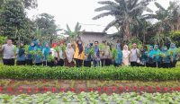 Dukung Ketahanan Pangan, KWT Melati Desa Lubuk Pabrik Panen Beragam Sayur
