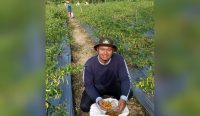 Berkebun dengan Iman: Menanam Kebaikan, Menuai Keberkahan