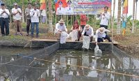 Algafry Tinjau Hasil Bedah UPI dan Tebar 7 Ribu Benih Ikan