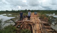 Tinjau Jembatan Sungai Serai Ambruk, Bang Rosy Desak PUPR Segera Bangun Jembatan Darurat