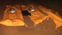 3 Anggota Polisi Tewas Ditembak saat Gerebek Judi Sabung Ayam di Way Kanan