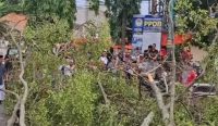 Korban Tewas Tertimpa Pohon saat Salat Idulfitri Berjumlah 3 Orang