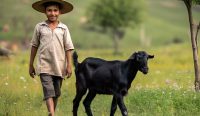 Kambing Hitam