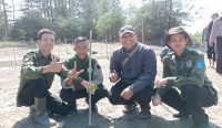 Mahasiswa UBB Kolaborasi Tanam 150 Batang Mangrove