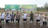 Dukung Ketahanan Pangan, Pemkab Bangka Tengah Genjot Tanam Padi 40 Hektare