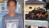 Curi 1 Ton Sawit di Cambai: Seorang Pria Diringkus, 2 Kabur