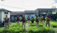 Rutan Mentok Kembali Panen Sayur Kangkung