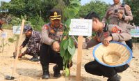 Gandeng Forkopimda, Tipidter Polres Babar Inisiasi Penanaman 500 Pohon