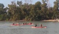 PT Timah Dukung Lomba Dayung dan Penanaman Mangrove Bersama HNSI Bangka