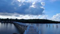 Menjaga Kearifan Lokal: Cengkeh, Laut, dan Tradisi Pulau Kelapan
