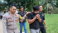 Curi 1,8 Ton Sawit di PT MHL, Pria di Desa Paku Diamankan Polsek Payung