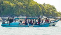 PT Timah Kembali Tenggelamkan Coral Garden di Perairan Pulau Putri