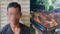 Usai Isap Sabu, Pemuda asal Simpang Rimba Embat Sawit PT BML
