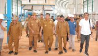 Bulan Depan Gubernur Hidayat Resmikan Pabrik Industri Plywood Sengon Pertama di Babel