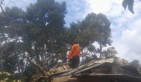 Rumah Warga Parittiga Rusak Parah usai Ditimpa Pohon Durian