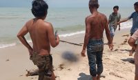 Jasad Tak Utuh Lagi, Mayat Tanpa Identitas Ditemukan di Pesisir Pantai Beriga