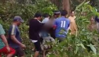Innalillahi! Warga Payung Meninggal usai Pohon yang Ditebang Menimpa Dirinya