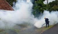 Cegah DBD di Wilayah Operasional Perusahaan, PT Timah Lakukan Fogging hingga Sosialisasikan 3M