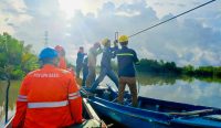 Aksi Sigap PLN Babel: Pemeliharaan Jalur SUTT Suge–Dukong Perkuat Kontinuitas Kelistrikan Belitung