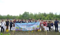 Komitmen Pelestarian Ekosistem Pesisir, PT Timah Tanam 5000 Bibit Mangrove di Pantai Takari