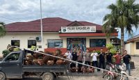 Gasak 1,7 Ton TBS milik PT Sinarmas, 4 Ninja Sawit Diciduk Polsek Sungaiselan