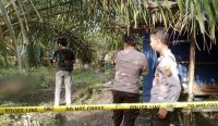 Sederet Fakta Penemuan Mayat di Kebun Sawit Desa Mislak