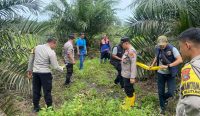 Polres Bangka Tengah bergerak cepat menindaklanjuti penemuan potongan tulang tengkorak yang diduga kerangka manusia di areal perkebunan kelapa sawit