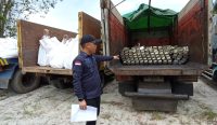 Kejati Babel Sita Puluhan Ton Timah dari PT Rajawali Rimba Perkasa di Sadai