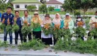 Panen Perdana, Uji Coba Budidaya Wortel di Bangka Tengah Berhasil