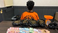 Kontrakan Pemuda 22 Tahun di Pangkalpinang Digerebek, Polisi Sita 410 Gram Ganja