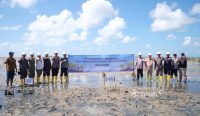 PT Timah dan Masyarakat Bergerak Jaga Alam Lewat Penanaman Mangrove di Pantai Mudong