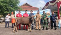 Di Momen Iduladha dan HUT ke-23 Kabupaten Bangka Barat, PT Timah Berbagi Kebahagiaan Lewat Hewan Kurban
