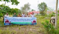 PT Timah Berbagi Hewan Kurban, Warga Bangka Selatan Rasakan Hangatnya Iduladha